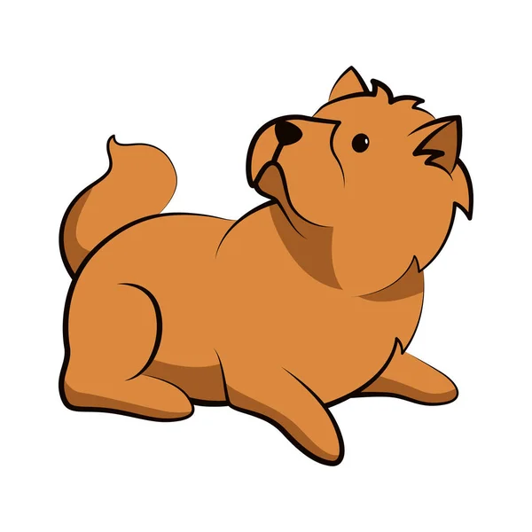 Chow Chow Perro Lindo Dibujos Animados Diseño Plano — Archivo Imágenes Vectoriales