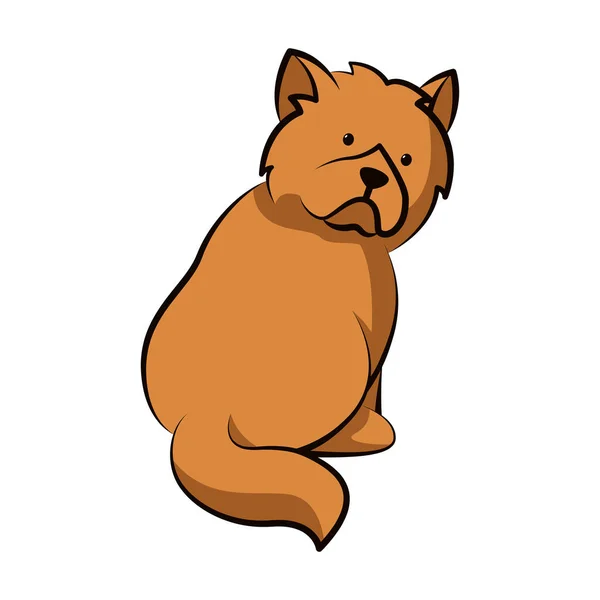 Chow Chow Σκυλί Χαριτωμένο Καρτούν Επίπεδη Σχεδίαση — Διανυσματικό Αρχείο