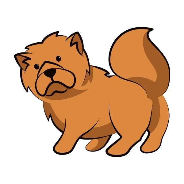 Chow Chow Chow Dog Cute 디자인 — 스톡 벡터