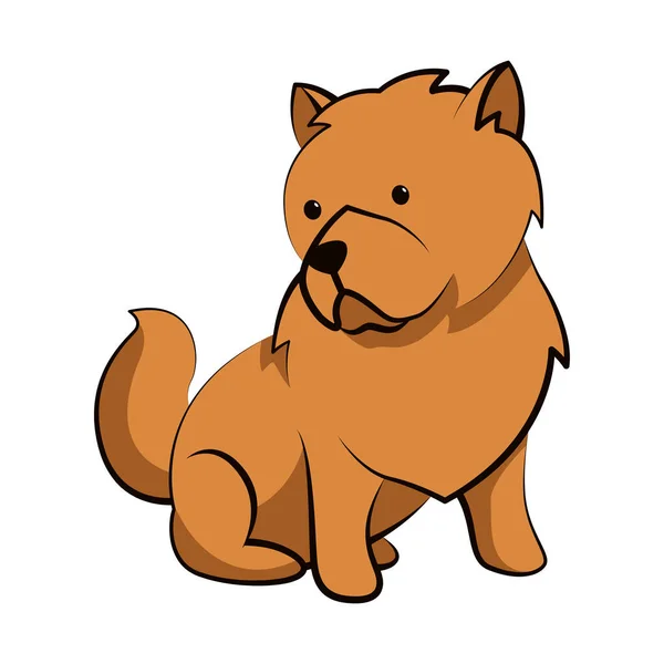 Chow Chow Hund Söt Tecknad Platt Design — Stock vektor