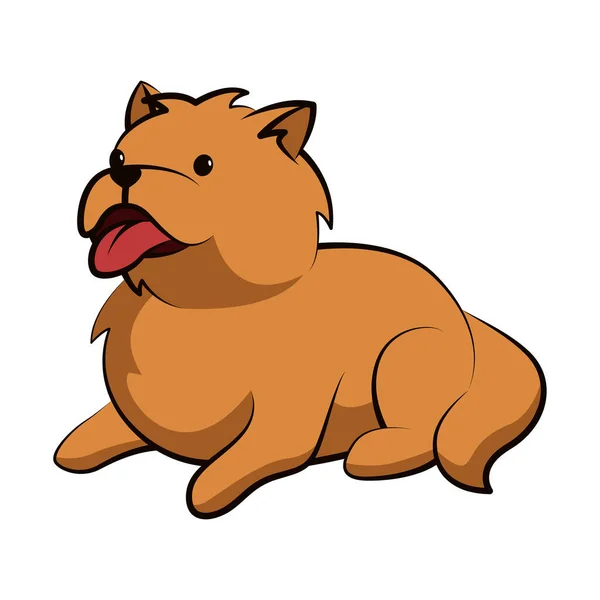 Chow Chow Chow Dog Cute 디자인 — 스톡 벡터