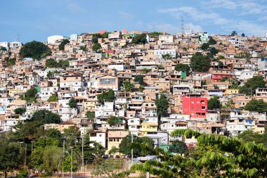 Morro görünümünü yapmak Papagaio
