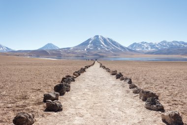 Atacama Çölü'Meniques