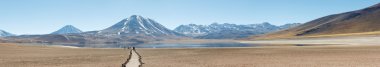 Lagunas Miscanti ve Meniques