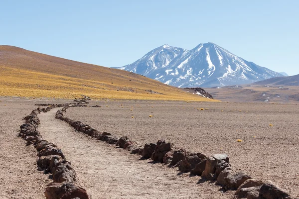 Volkanlar, Lagunas Miscanti