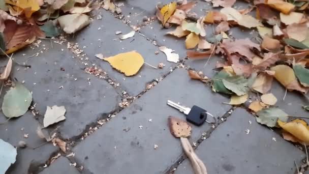 Verlorener Schlüssel im Herbstlaub. Der Wind bläst vom Blatt. Horizontale Nahaufnahme Abendbürgersteig — Stockvideo