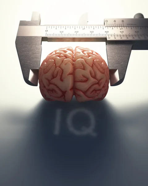 Measuring The Human Intelligence — Stock Photo, Image