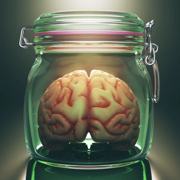 Gehirn im Topf — Stockfoto