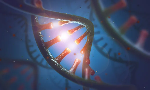 Cząsteczki DNA i Rna — Zdjęcie stockowe