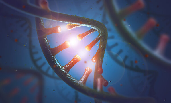 DNA and RNA molecules