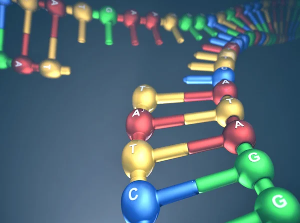 DNA Replication Fork — Stock Photo, Image