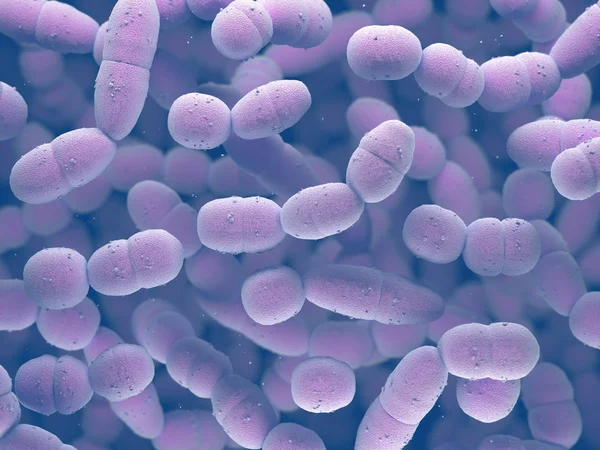 Streptococcus Pneumoniae Bacteria — Stock Photo, Image
