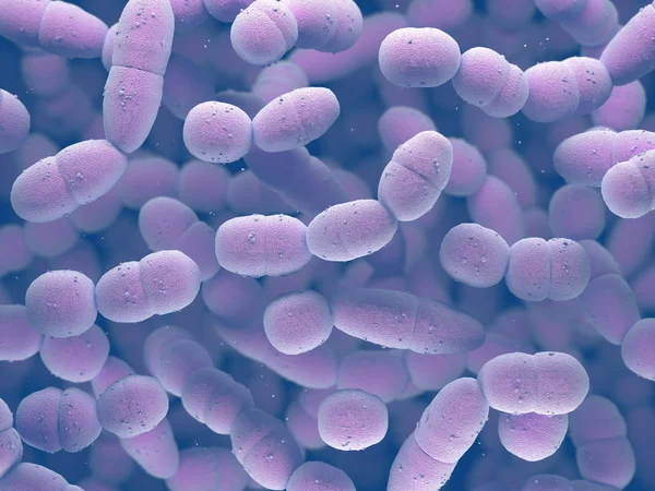 Bakterii Streptococcus Pneumoniae — Zdjęcie stockowe