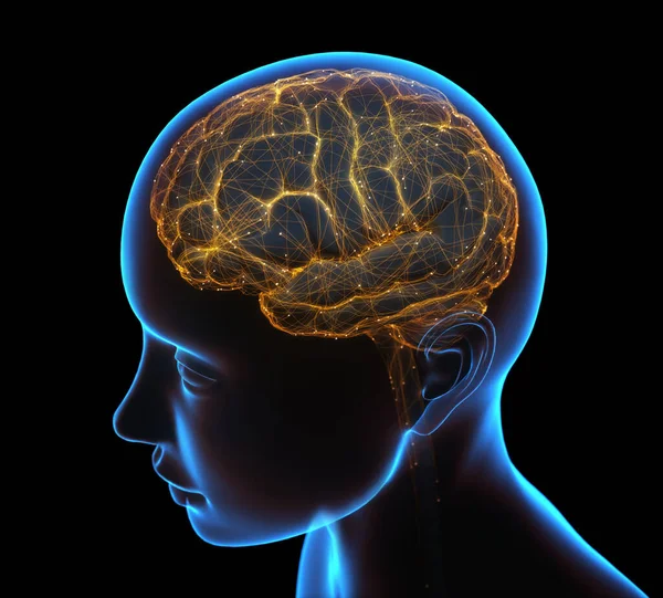 Illustration Neuroner Och Deras Anslutningar Mikroskopisk Fotosimulering Människans Nervsystem — Stockfoto