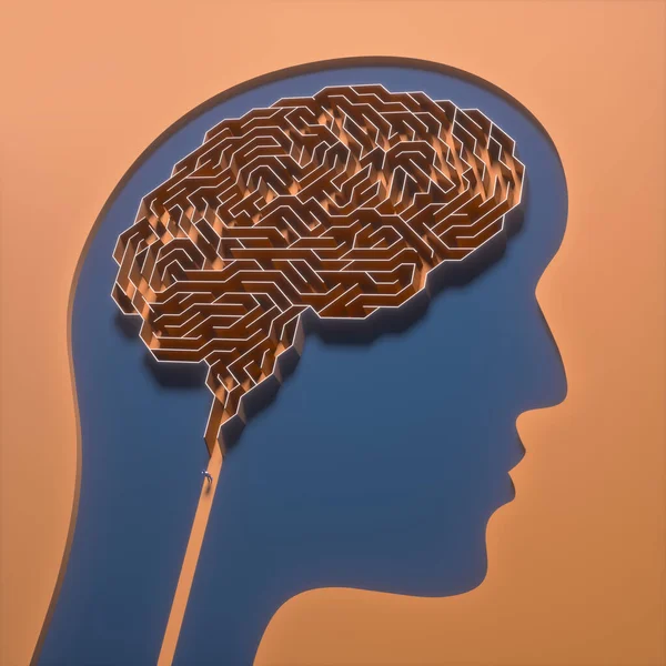 Beyin Şeklinde Bir Labirent Bilim Tıbbın Kavramsal Görüntüsü Illüstrasyon — Stok fotoğraf