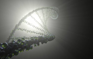 Arka lambalı DNA molekülü. Genetik kod, sarmal moleküller.