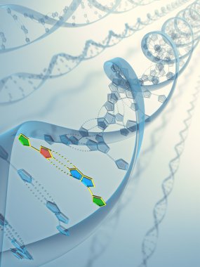 DNA dizileri