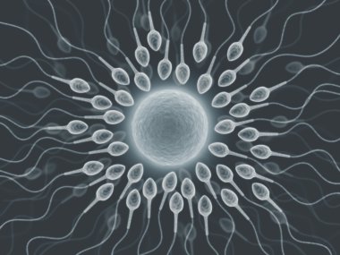 Sperms going to the ovule clipart