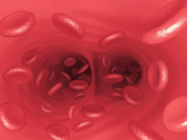 Cellule del sangue al microscopio — Foto Stock