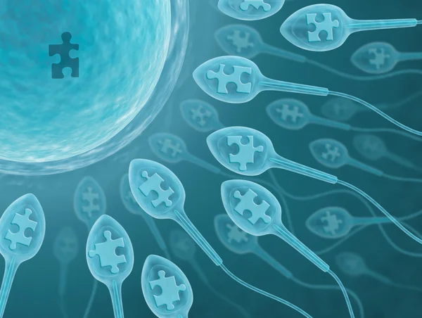 Sperms going to the ovule — Stock Photo, Image