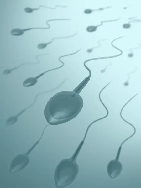 Sperms going to the ovule — Stock Photo, Image