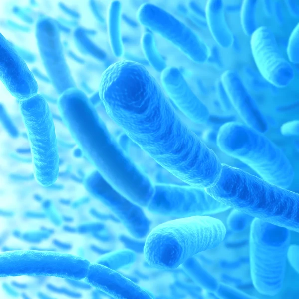 Infectious bacteria closely — Stock Photo, Image