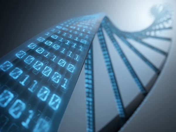 Dna con códigos binarios —  Fotos de Stock