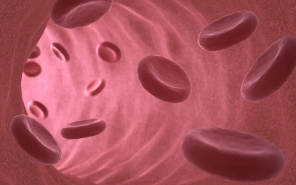 Cells from the bloodstream — Stock Photo, Image