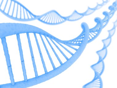 DNA'ın uzun yapısı