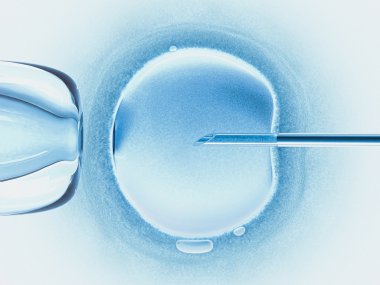 Concept of artificial insemination in vitro. clipart