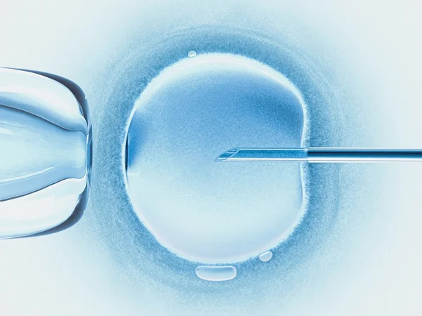 Concept van kunstmatige inseminatie in vitro. — Stockfoto