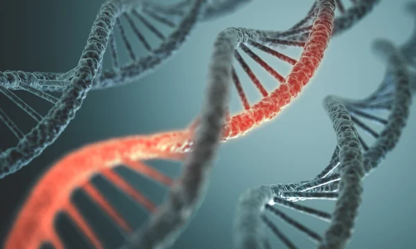 Estructura larga del ADN — Foto de Stock