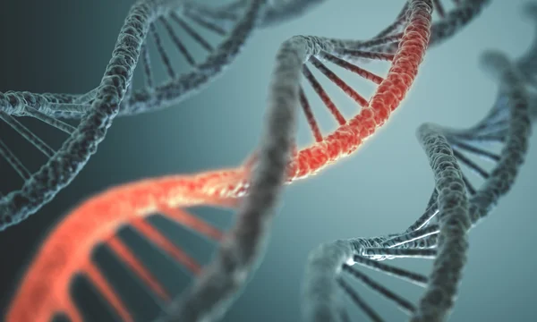 Lange Struktur der dna — Stockfoto