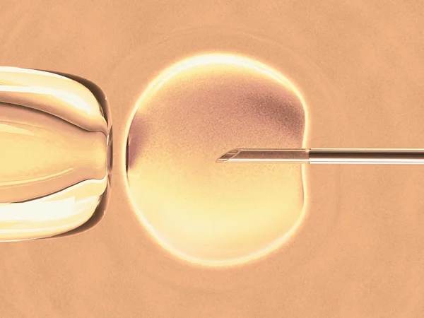 Mesterséges megtermékenyítés az in vitro fogalmának. — Stock Fotó