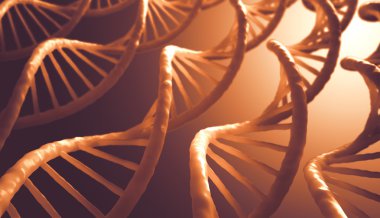 DNA'ın uzun yapısı