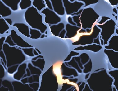 Neurones Inside the brain clipart