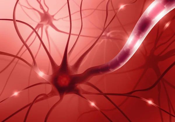 Нервових клітин — стокове фото