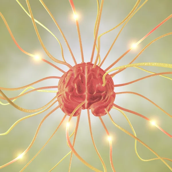 Brain Neuron Concept — Stock Photo, Image