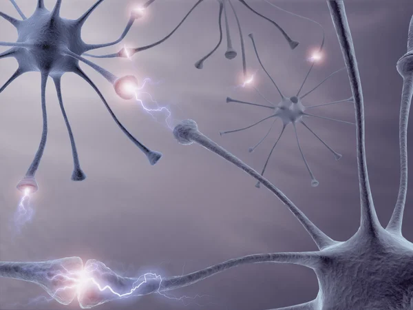 Neuron Concept — Stock Photo, Image