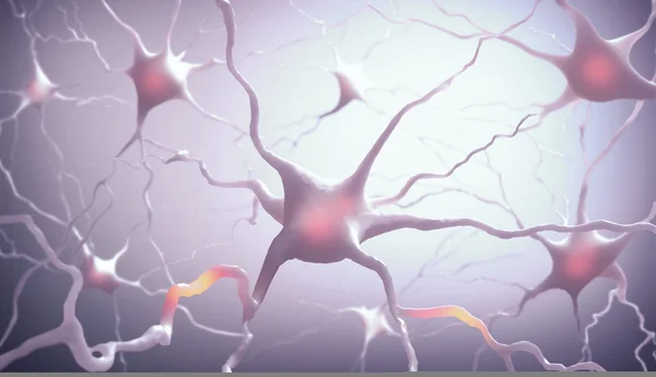 Neurones Inside the brain — Stock Photo, Image