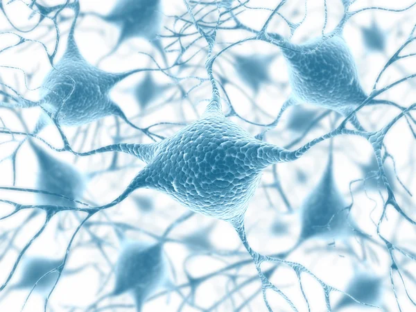 Cervello con sistema nervoso e neurone — Foto Stock