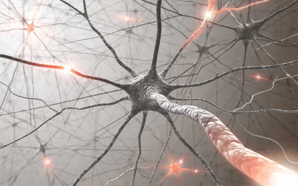 Cervello con sistema nervoso e neurone — Foto Stock