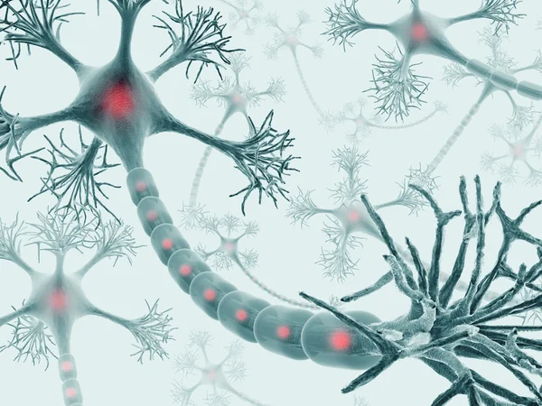 Brain with nervous system and neuron — Stock Photo, Image