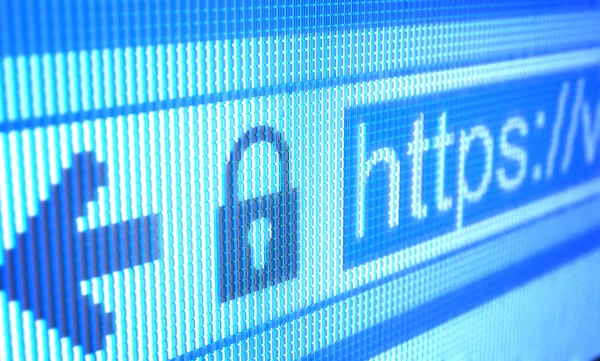 Korumalı Internet adresi
