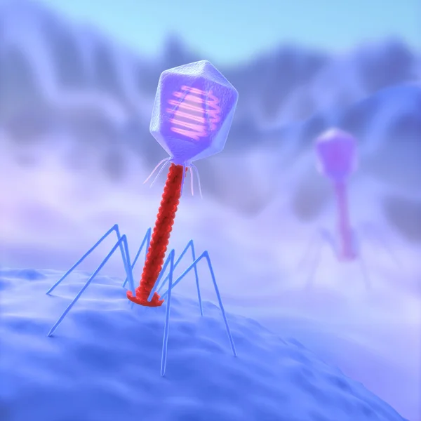 Bacteriophage are viruses that infect bacteria. — Stock Photo, Image