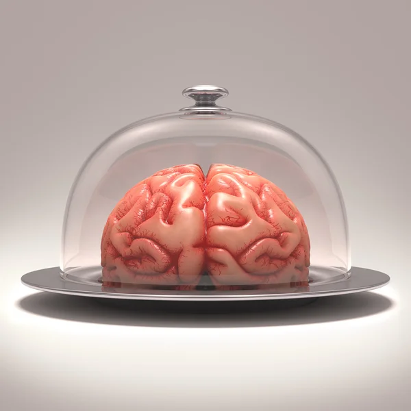 Εγκεφάλου κατά τη διάρκεια μια πιατέλα από ανοξείδωτο χάλυβα που καλύπτονται από ένα γυάλινο καπάκι — Φωτογραφία Αρχείου