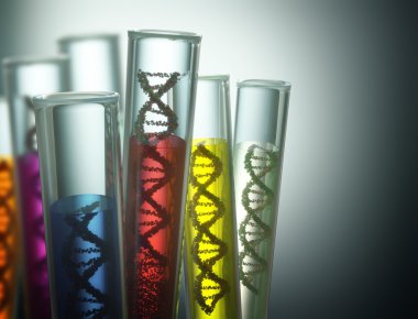 Test tüpü içinde dna ile