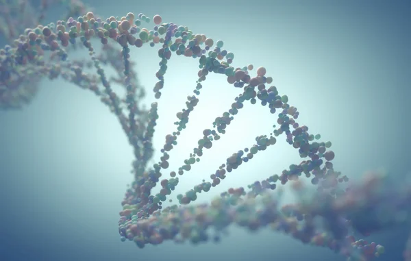 Structure of the DNA — Stock Photo, Image
