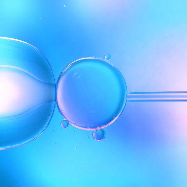 vitro fertilization under microscope.