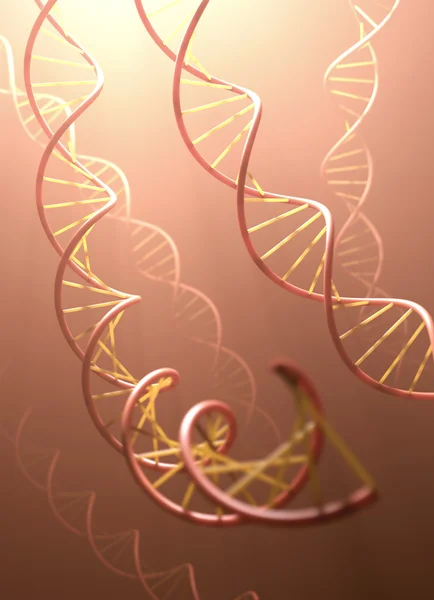 DNA-strukturen — Stockfoto